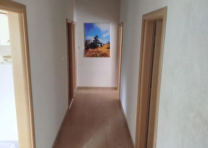 Brine Apartman Starigrad Paklenica