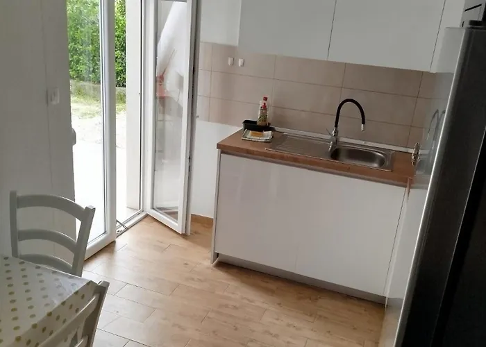 Brine * 스타리그라드 파클레니차