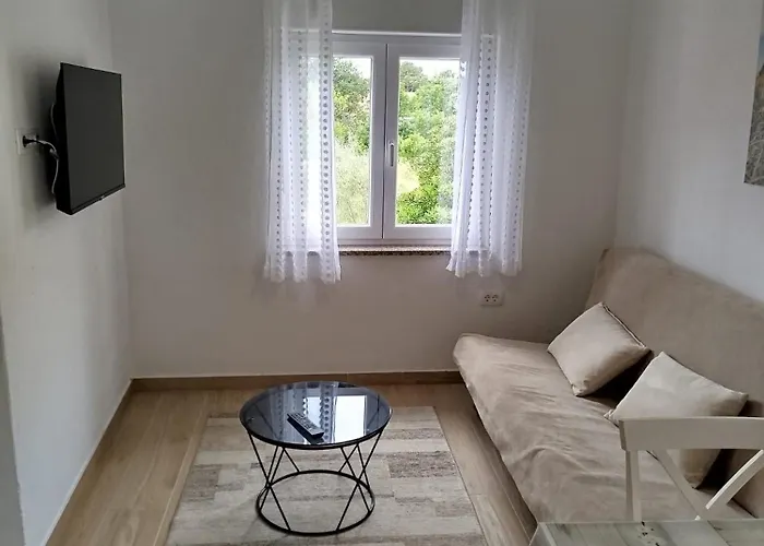 Brine 스타리그라드 파클레니차