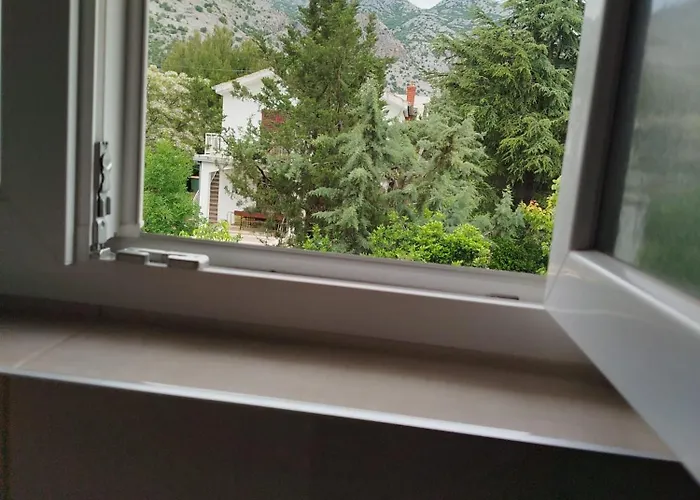 Brine * 스타리그라드 파클레니차