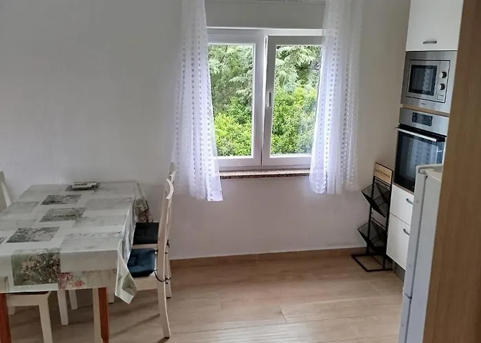 Brine 스타리그라드 파클레니차